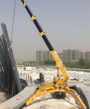蜘蛛吊為什么那么小巧？